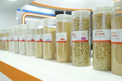 逐時代潮流,打造品質(zhì)產(chǎn)品 揚翔以產(chǎn)品 技術(shù) 服務(wù)領(lǐng)跑行業(yè)前沿